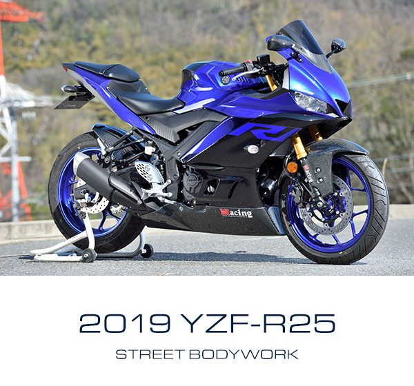 250cc Bike - MagicalRacing