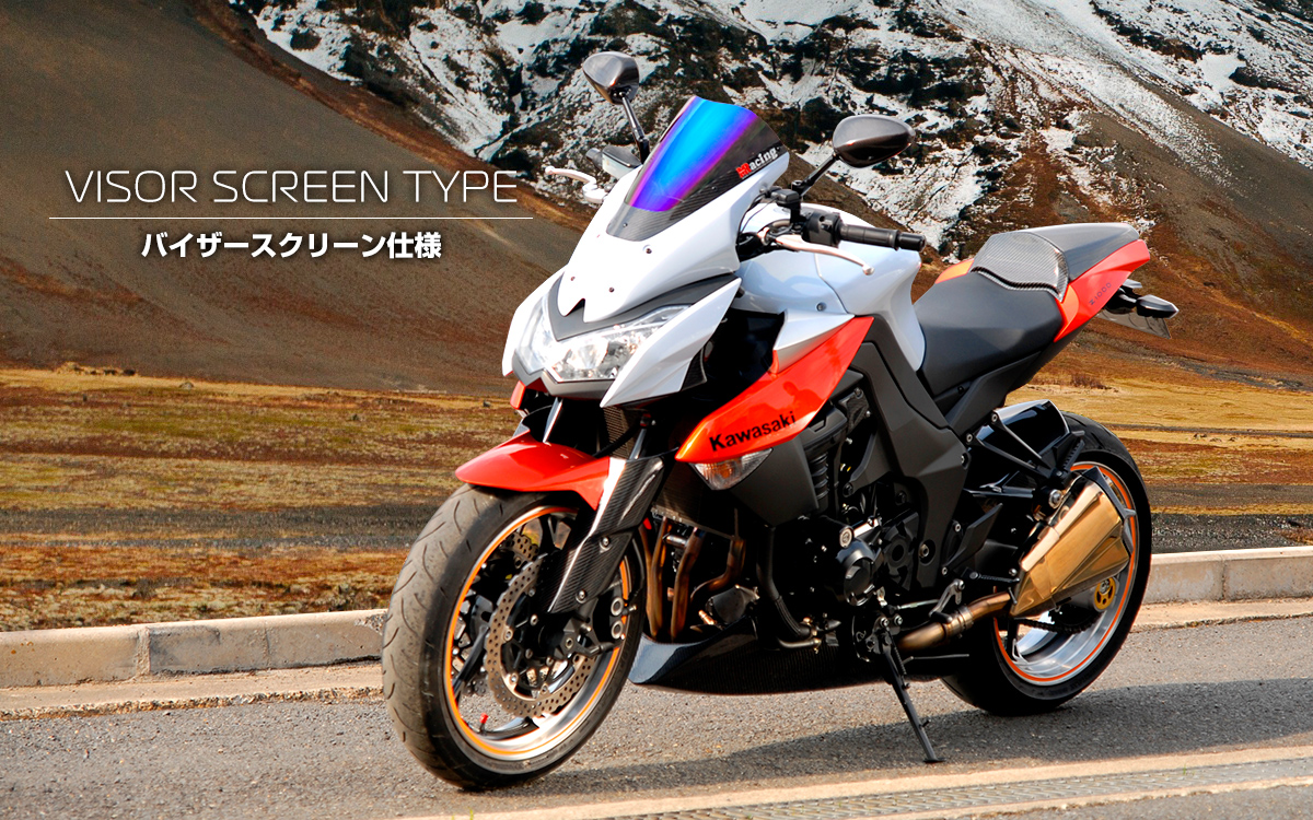 2010-2013 Z1000 - MagicalRacing