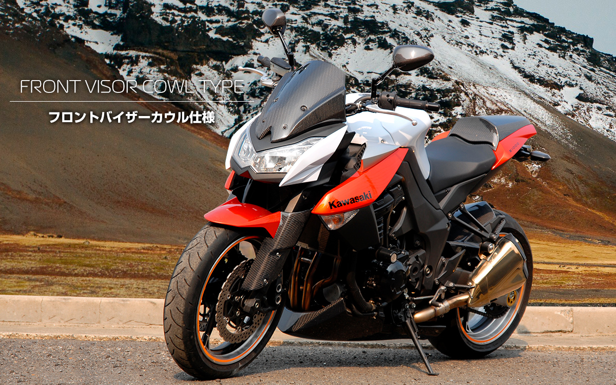 2010-2013 Z1000 - MagicalRacing